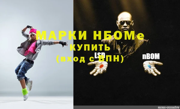 шишки Алзамай