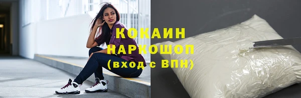 шишки Алзамай