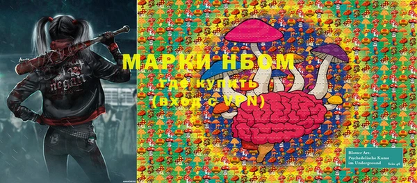 шишки Алзамай