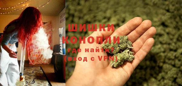 шишки Алзамай