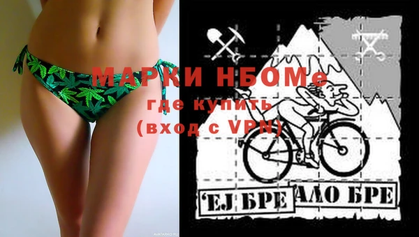 шишки Алзамай