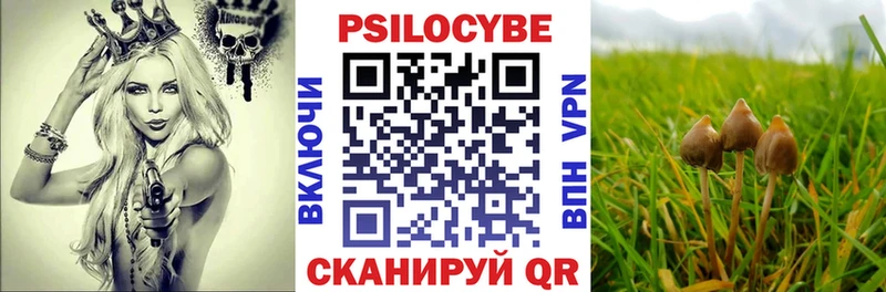 Галлюциногенные грибы прущие грибы Кирс