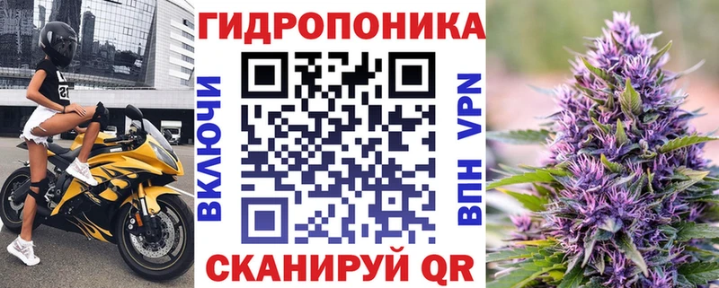МЕГА ССЫЛКА  Кирс  дарк нет состав  продажа наркотиков  Шишки марихуана марихуана 
